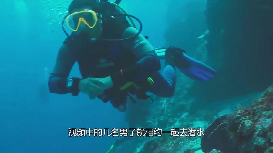 双星物语2